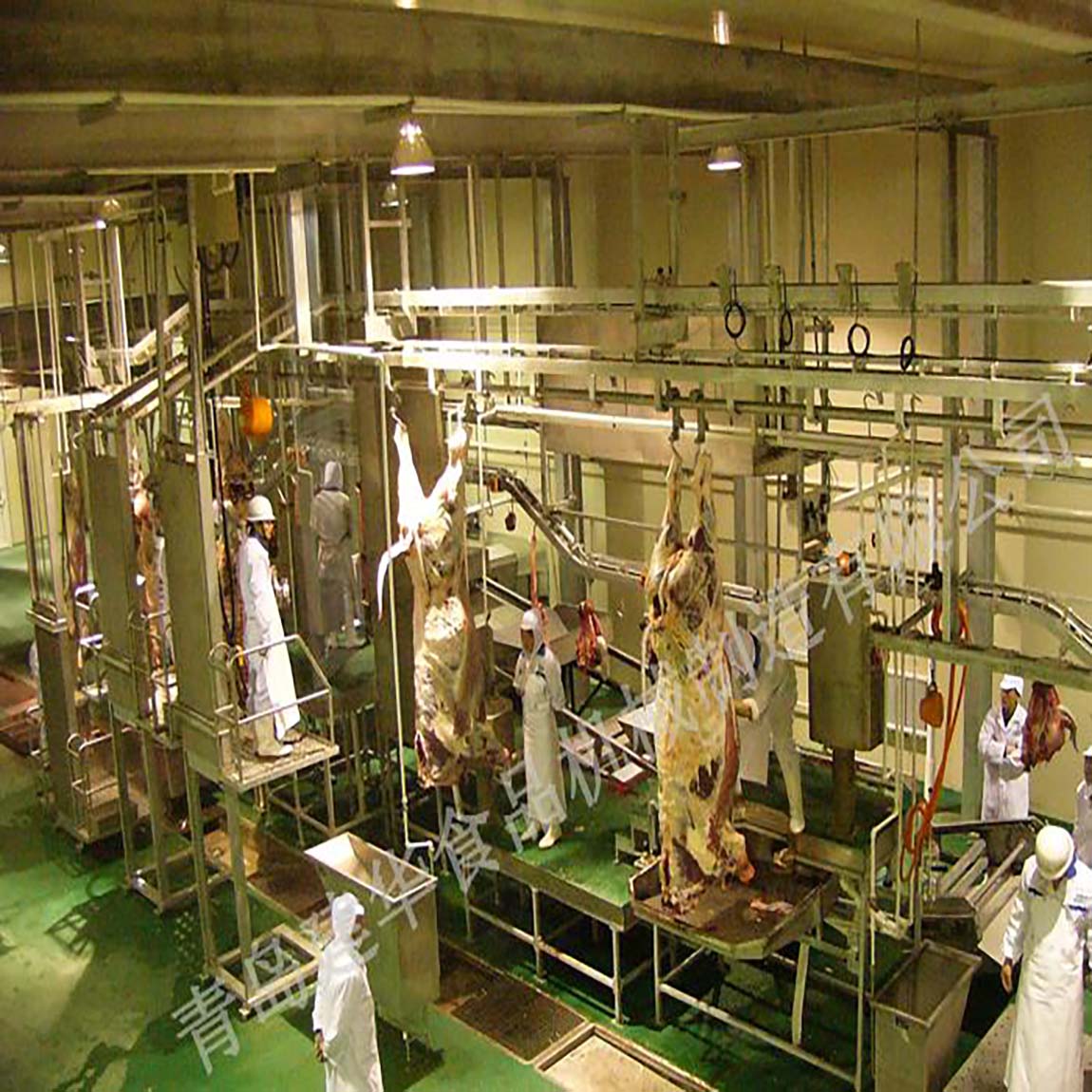 Carcass processing series